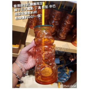 香港迪士尼樂園限定 獅子王 大電影 丁滿 彭彭 辛巴 造型吸管飲料杯